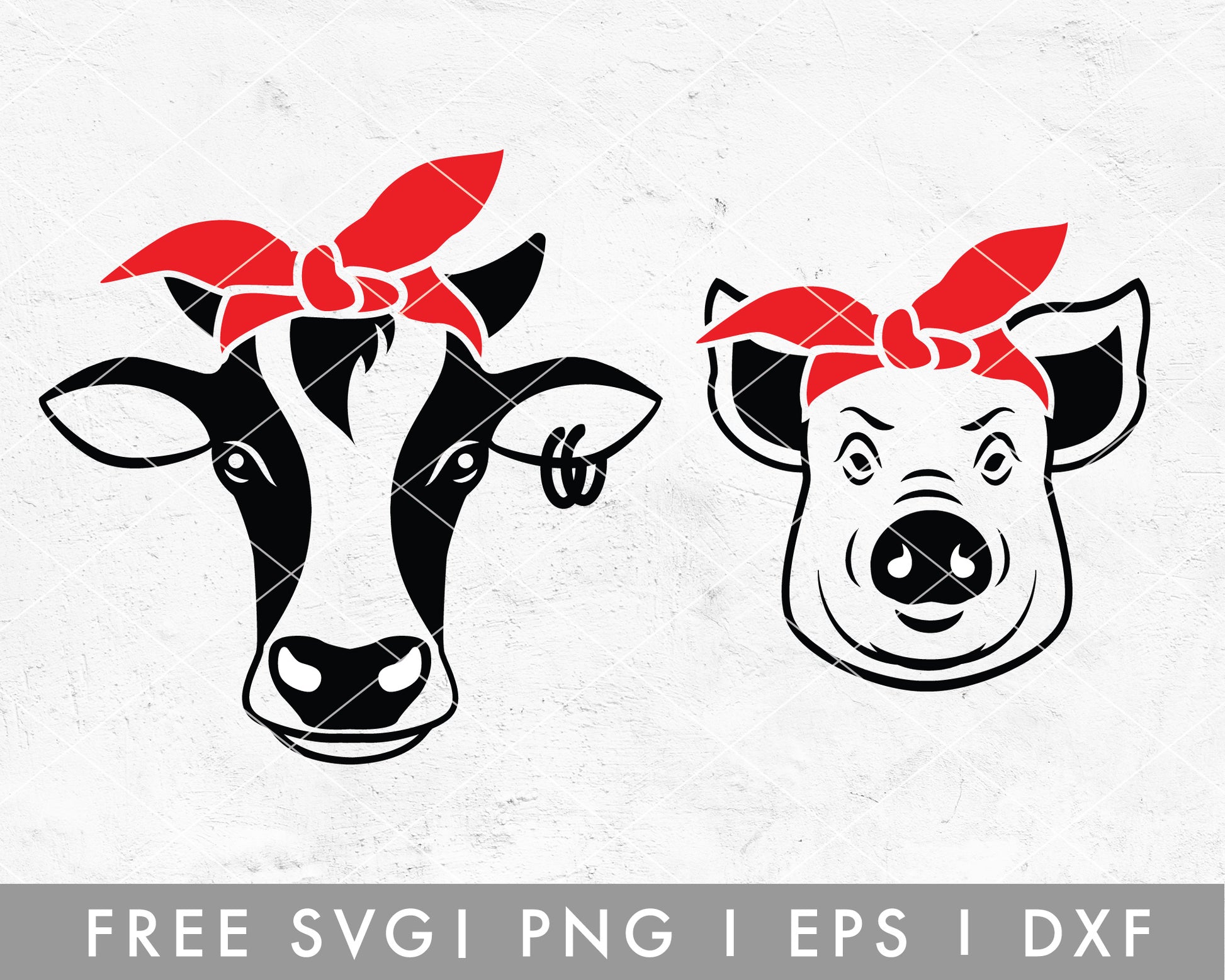 FREE FREE Farm Animal SVG | Heifer Cow Cut File for Cricut, Cameo Silhouette | Free SVG Cut File