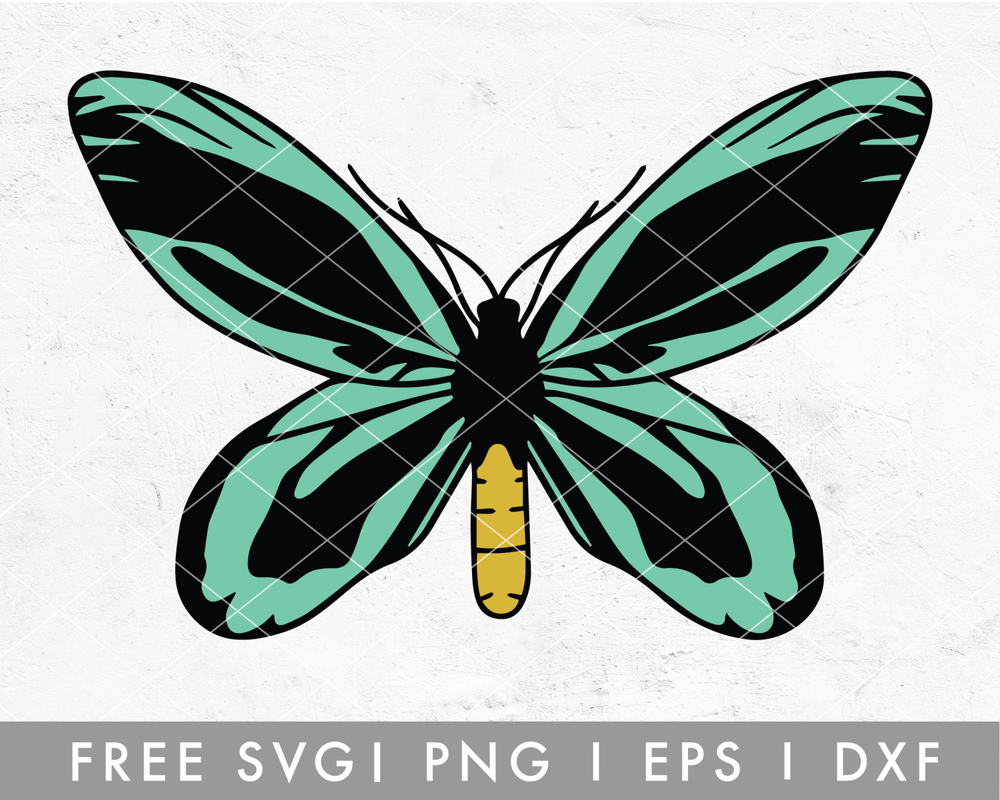 FREE Queen Butterfly SVG