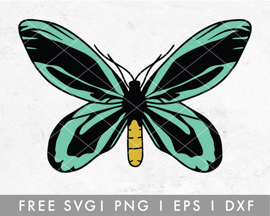 FREE Queen Butterfly SVG