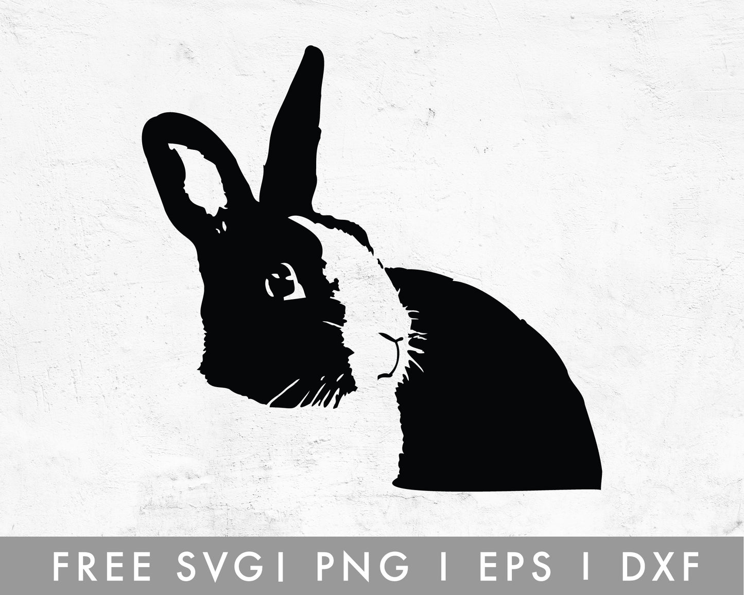 FREE Realistic Bunny SVG Cut File for Cricut, Cameo Silhouette | Free SVG Cut File