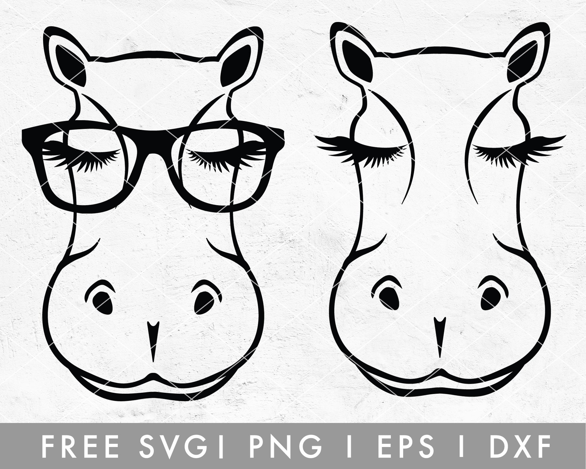 FREE FREE Animal Face SVG | Hippo SVGCut File for Cricut, Cameo Silhouette | Free SVG Cut File