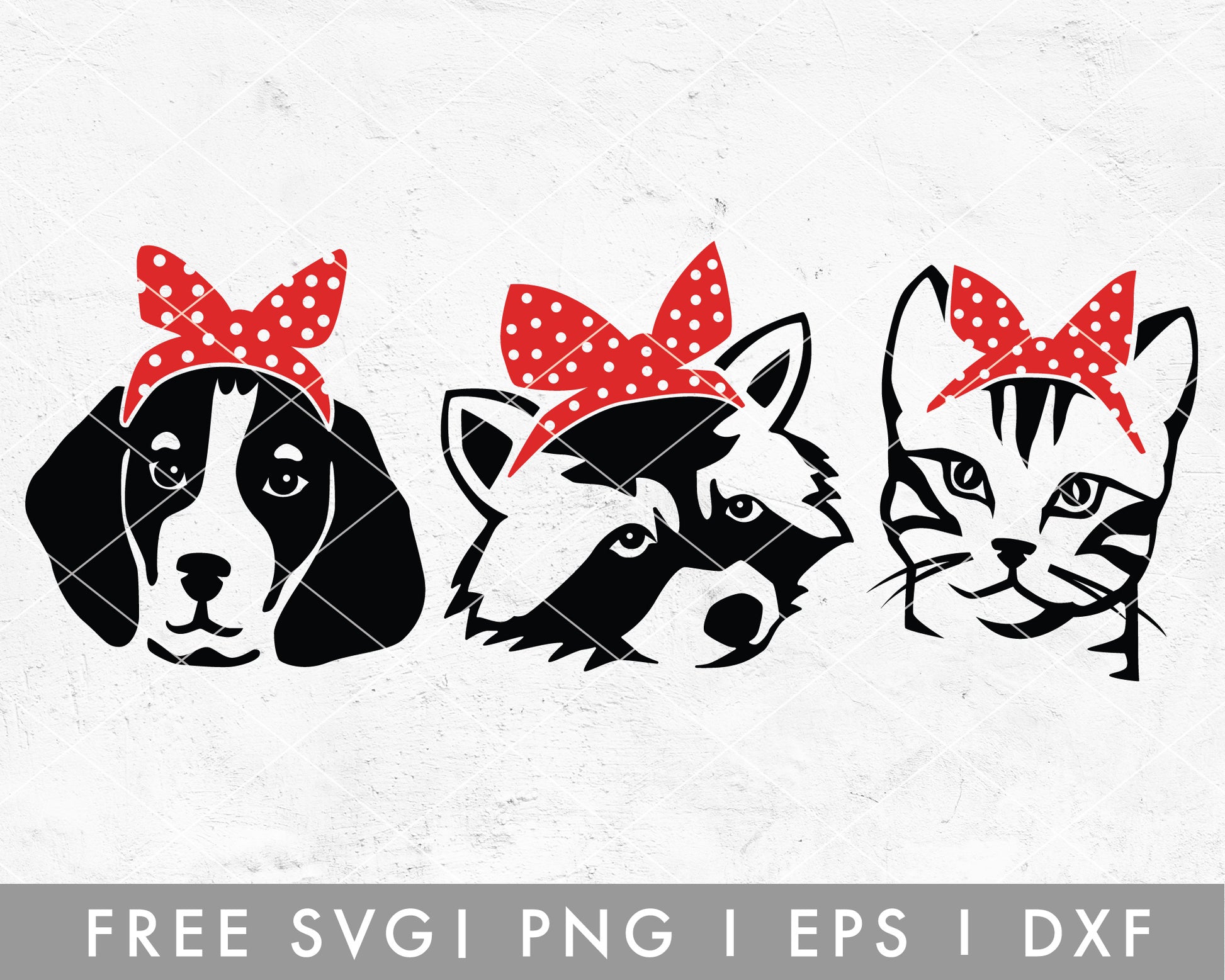 FREE FREE Animal Face SVG | Heifer SVG Cut File for Cricut, Cameo Silhouette | Free SVG Cut File