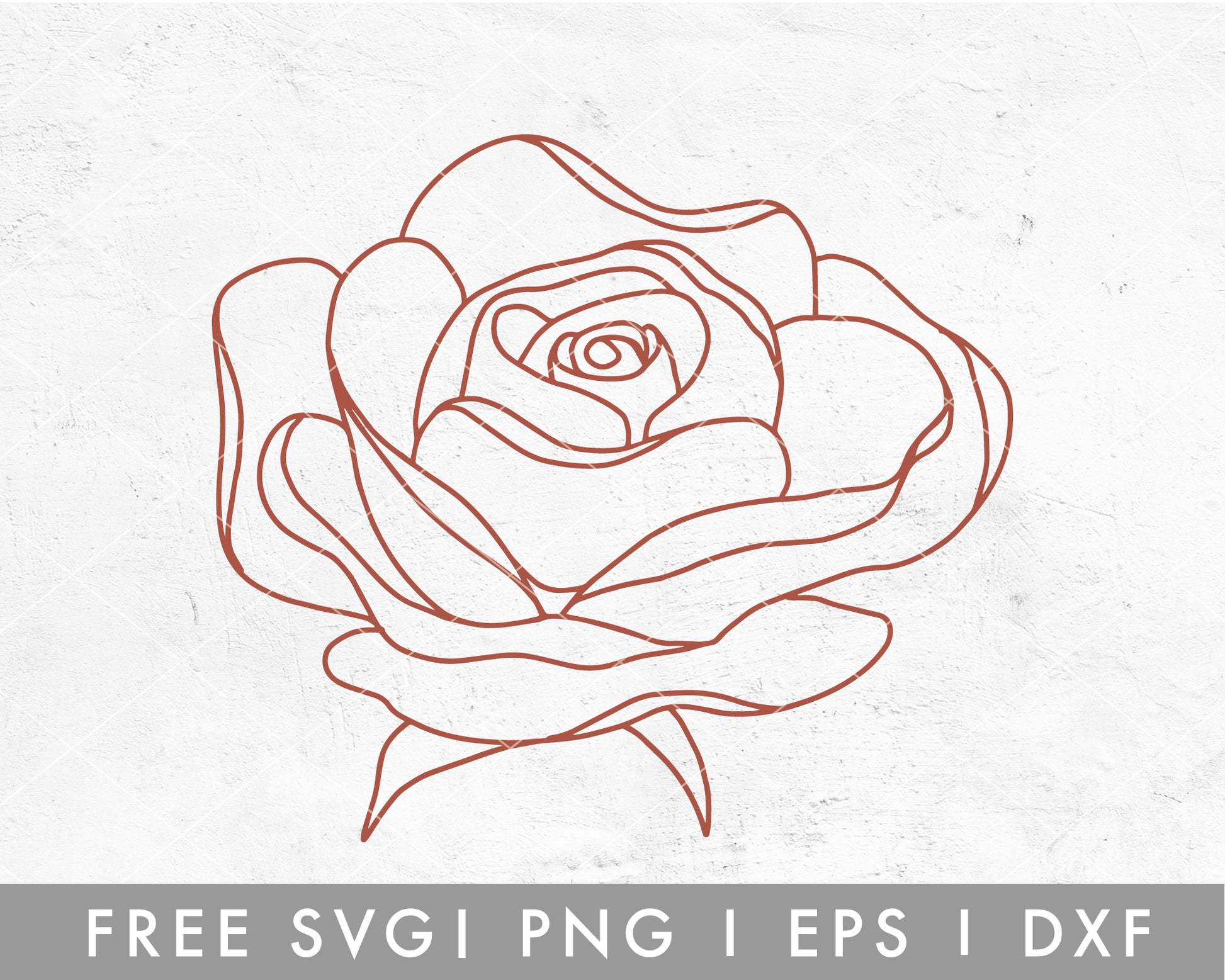 Handdrawn Flower Outline SVG Cut File for Cricut, Cameo Silhouette | Free SVG Rose Flower