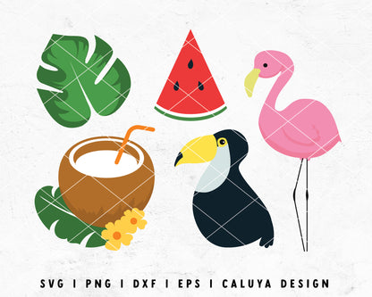 FREE Summer SVG | Tropical SVG Cut File for Cricut, Cameo Silhouette | Free SVG Cut File