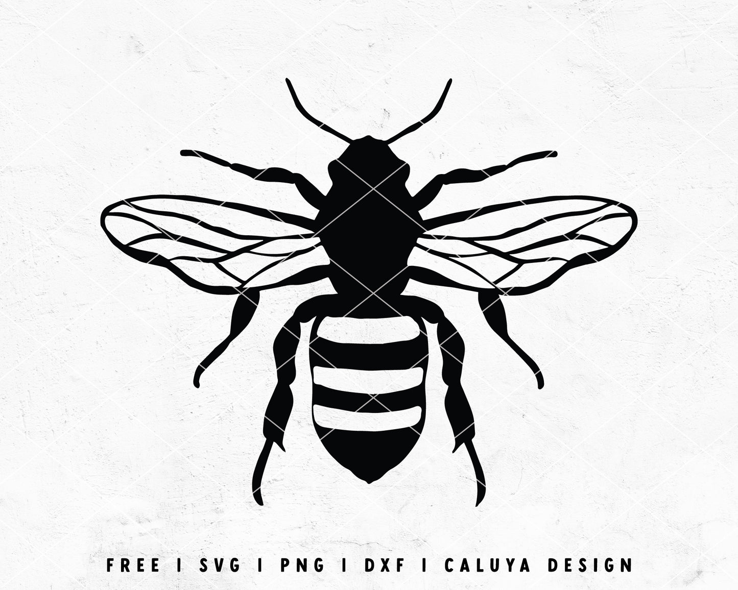 FREE Bee SVG | Vintage Bee SVG  Cut File for Cricut, Cameo Silhouette | Free SVG Cut File