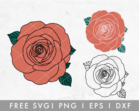 FREE Hand Drawn Rose SVG Cut File for Cricut, Cameo Silhouette | Free SVG, PNG, Vector