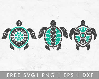 FREE FREE Turtle SVG | Hawaii Tropical SVG Cut File for Cricut, Cameo Silhouette | Free SVG Cut File