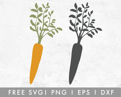 FREE Hand Drawn Carrot SVG Cut File for Cricut, Cameo Silhouette | Free SVG Cut File