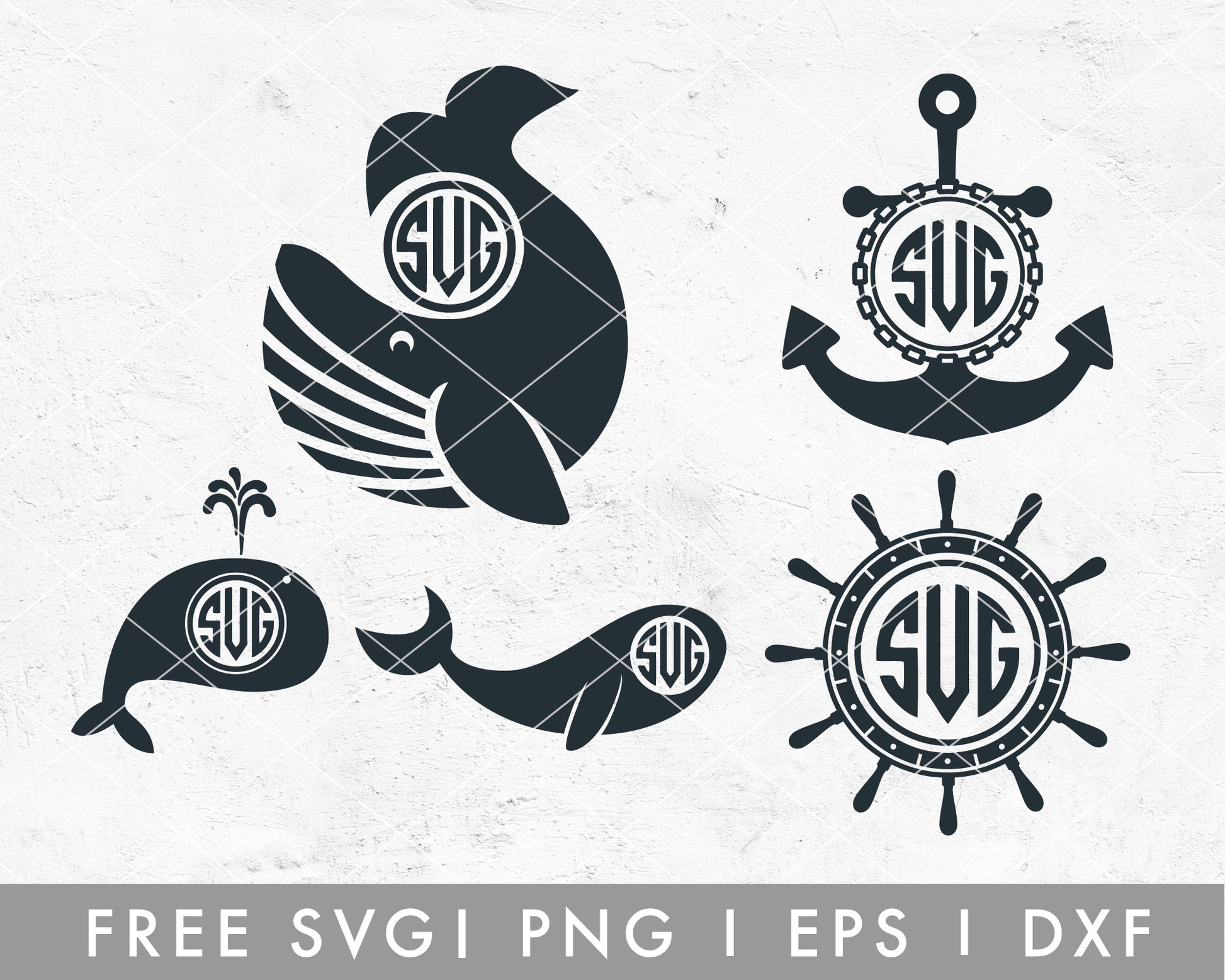 FREE Monogram SVG | Anchor, Whale SVG Cut File for Cricut, Cameo Silhouette | Free SVG Cut File